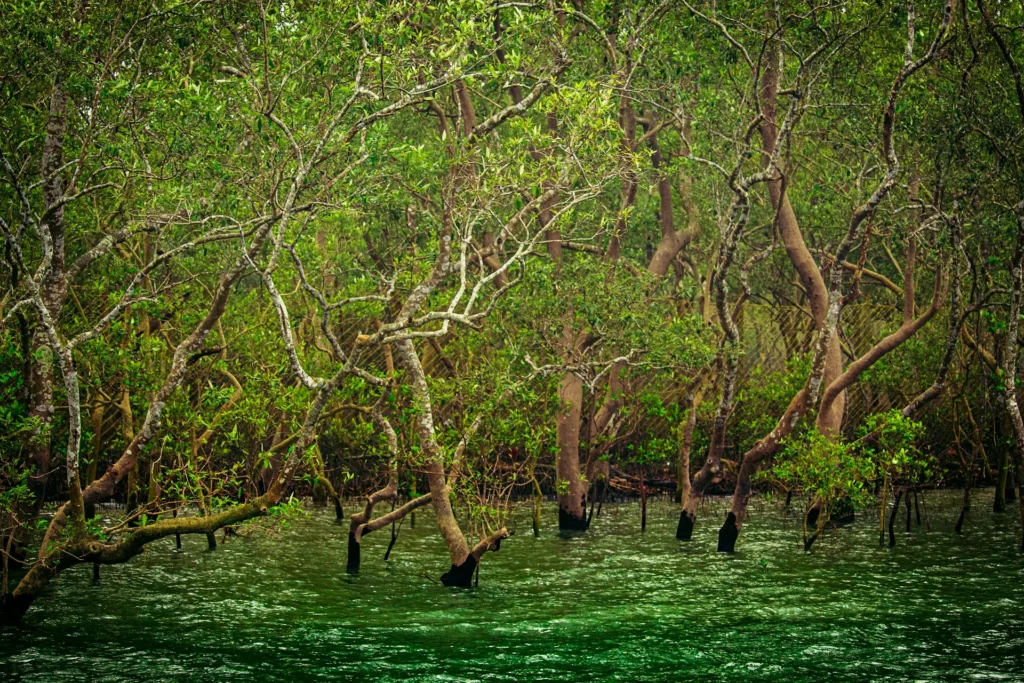 Sundarbans, West Bengal
