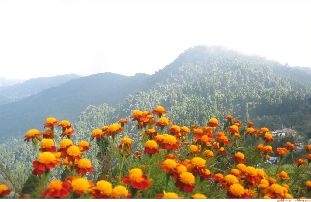 Lava & Lolegaon, West Bengal