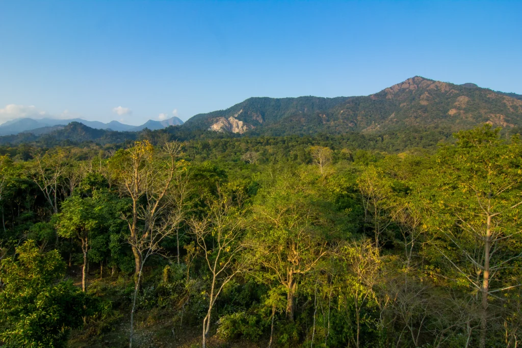 Buxa Tiger Reserve, West Bengal